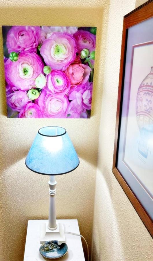 Holibai, Andurina, Piso Vintage, Centrico, Acepta Mascotas, Baionaアパートメント エクステリア 写真